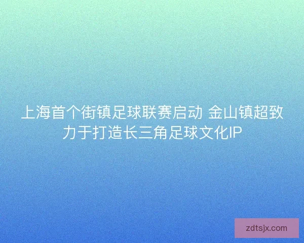 上海首个街镇足球联赛启动 金山镇超致力于打造长三角足球文化IP