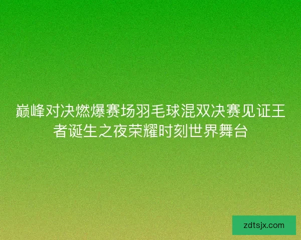 巅峰对决燃爆赛场羽毛球混双决赛见证王者诞生之夜荣耀时刻世界舞台