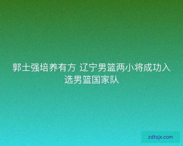 郭士强培养有方 辽宁男篮两小将成功入选男篮国家队