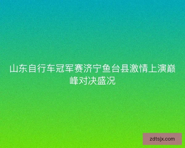 山东自行车冠军赛济宁鱼台县激情上演巅峰对决盛况